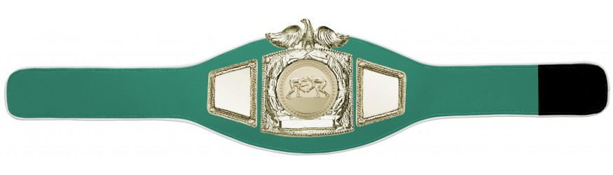 PROEAGLE GRAPPLING CHAMPIONSHIP BELT - PROEAGLE/G/GRAPG - AVAILABLE IN 6+ COLOURS